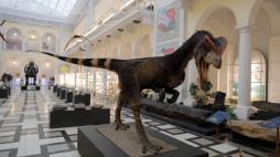 Dinozaur na wystawie w Muzeum Geologicznym, fot. PAP/A. Zawada 