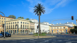 Ostatni remont palmy sfinansowano ze środków Centrum Rzeźby Polskiej w Orońsku pochodzących z budżetu MKiDN. Fot. PAP/Sz. Pulcyn