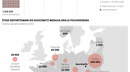 Więźniowie i ofiary KL Auschwitz, infografika PAP/Adam Ziemienowicz, Małgorzata Latos