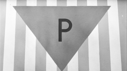  Fot. PAP/CAF/Reprod.