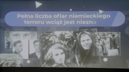 Konferencja IPN dotycząca programu dokumentacyjnego "Straty osobowe i ofiary represji pod okupacją niemiecką w latach 1939-1945". PAP/Tomasz Gzell