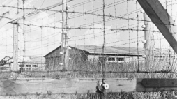 Ogrodzenie KL Stutthof, w tle baraki obozowe. Zdjęcie wykonane 31 maja 1946 r. Fot. PAP/Mikołaj Sprudin
