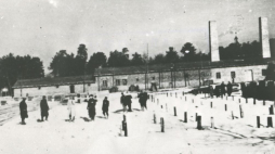 Źródło: Muzeum Auschwitz