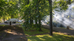 Park Bronowicki latem. Fot. PAP/Wojtek Jargiło 