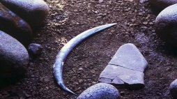 Źródło: Facebook/Instytut Archeologii Uniwersytetu Jagiellońskiego