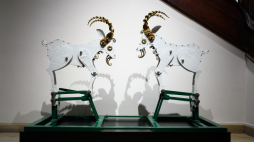 Najstarsze zachowane poznańskie koziołki z wieży ratuszowej. Fot. PAP/Jakub Kaczmarczyk