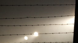 Fot.  PAP/Andrzej Grygiel