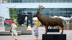 V Światowy Festiwal Wikliny i Plecionkarstwa na terenie Międzynarodowych Targów Poznańskich w 2023 r. Fot. PAP/Jakub Kaczmarczyk