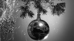 Fotografia świąteczna. Polska, grudzień 1969 r. Fot. PAP/Marian Sokołowski