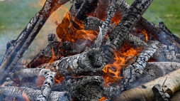 Fot. PAP/Darek Delmanowicz