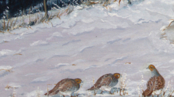 Teatr im. Wandy Siemaszkowej w Rzeszowie/facebook