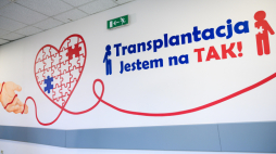 Mural promujący transplantacje w poznańskim Szpitalu Wojwódzkim. Fot. PAP/Jakub Kaczmarczyk
