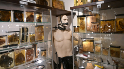 Eksponaty w Muzeum Medycyny Sądowej Uniwersytetu Medycznego we Wrocławiu. Fot. PAP/Maciej Kulczyński