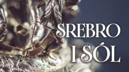 „Srebro i sól. Solniczki z Muzeum Żup Krakowskich Wieliczka” to nowa wystawa czasowa w Zamku Królewskim w Sandomierzu. Ekspozycja jest organizowana we współpracy z Muzeum Żup Krakowskich Wieliczka