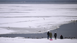 Zamarznięta Zatoka Pucka w Pucku, 12 stycznia 2026 r. Dzięki temu, że jest osłonięta przez Mierzeję Helską oraz o niewielkiej głębokości w znacznej części akwenu, przy długotrwałych mrozach zatoka zamarza szybciej i stabilniej niż otwarty Bałtyk. Fot. PAP/Adam Warżawa