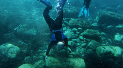 Źródło: Wydział Archeologii Uniwersytet Warszawski/facebook