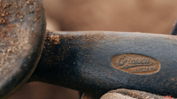 Źródło: Pałac Saski/facebook