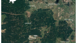 Źródło: PAP/Michał Czernek