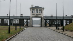 Fot. PAP/Maciej Kulczyński