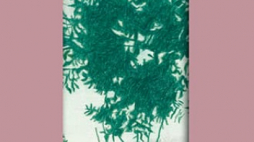 Wydawnictwo Znak Literanova