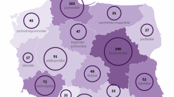 Polskie muzea. Infografika PAP/Mateusz Krymski
