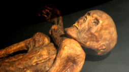 Rekonstrukcja mumii Ötziego w Muzeum Prehistorii w Quinson we Francji. Źródło: en.wikipedia/120