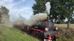 Koszalińska Kolej Wąskotorowa. Px48-3901 z pociągiem specjalnym na wjeździe do Manowa. Zdjęcie z 2021 r. Fot. NP, CC BY-SA 4.0 <https://creativecommons.org/licenses/by-sa/4.0>, via Wikimedia Commons