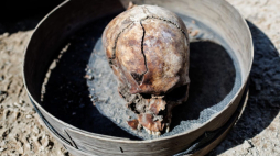 Szczątki znalezione podczas czasie prac archeologicznych nad jeziorem Borówno. Fot. IPN
