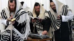 Ortodoksyjny Żydzi modlą się przy grobie Elimelecha Weissbluma, spoczywającego w Leżajsku. Fot. PAP/D. Delmanowicz