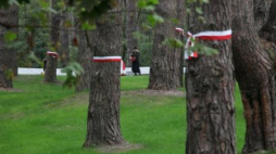 Cmentarz wojenny w Bykowni. Fot. PAP/P. Supernak