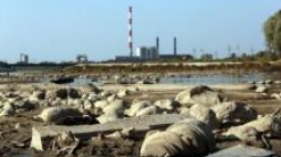 Rekordowo niski stan wody w Wiśle odsłonił niezwykłe znaleziska. Fot. PAP/T. Gzell 