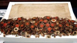 Oryginalny Akt Konfederacji Generalnej Warszawskiej. Fot. PAP/R. Pietruszka