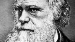 Karol Darwin. Fot. PAP/CAF/Reprodukcja