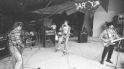 Koncert na Festiwalu w Jarocinie. Fot. PAP/Z. Staszyszyn