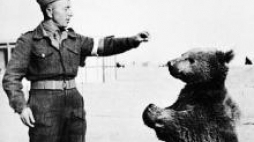 Niedźwiedź Wojtek z opiekunem. Fot. wikimedia commons