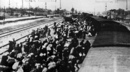Auschwitz - transport Żydów z Wegier. 1944 r. Fot. PAP/EPA