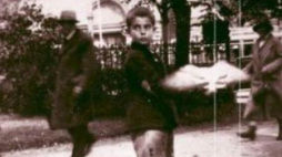 Okładka książki Elisabeth Asbrink, autorka książki "W Lesie Wiedeńskim wciąż szumią drzewa" (wydawnictwo Czarne)