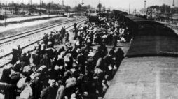 Auschwitz - transport Żydów z Wegier. 1944 r. Fot. PAP/EPA