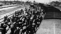 Auschwitz - transport Żydów z Wegier. 1944 r. Fot. PAP/EPA