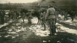 Artyleria 1 Pułku Piechoty Legionów Polskich podczas przerwy w walkach pod Marcinkowicami. 6.12.1914 r. Fot. CAW