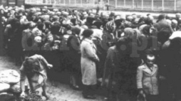 Żydzi na rampie w Birkenau oczekujący na selekcję. Źródło: Muzeum Auschwitz-Birkenau