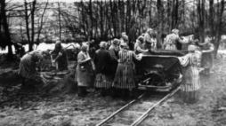  Więźniarki z Ravensbrueck. Źródło: Bundesarchiv (Bild 183-1985-0417-15), na lic. Wikimedia Commons