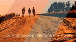 Film "W poszukiwaniu zbłąkanych owiec"