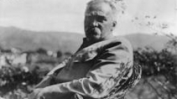 Marszałek Józef Piłsudski odpoczywa w ogrodzie willi “Quinta Bettencourt” na Maderze. Wrzesień 1931 r. Fot. NAC