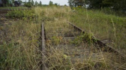Jaworzyna Śląska. Fragment starych torów kolejowych pomiędzy Wrocławiem a Wałbrzychem. Fot. PAP/A. Koźmiński
