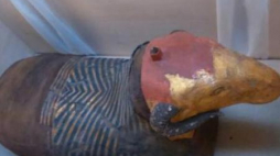 Jedna z badanych mumii. Źródło: materiały Warsaw Mummy Project