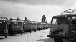 Samochody Star 20 na parkingu przed Fabryką Samochodów Ciężarowych. Starachowice, 1953 r. Fot. PAP/CAF/Kondracki