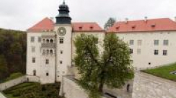 Zamek w Pieskowej Skale. Fot. PAP/S. Rozpędzik