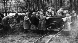 Więźniarki Kl Ravensbrueck. Źródło: Wikimedia Commons/Bundesarchiv