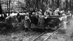 Więźniarki z Ravensbrueck. Źródło: Bundesarchiv (Bild 183-1985-0417-15), na lic. Wikimedia Commons